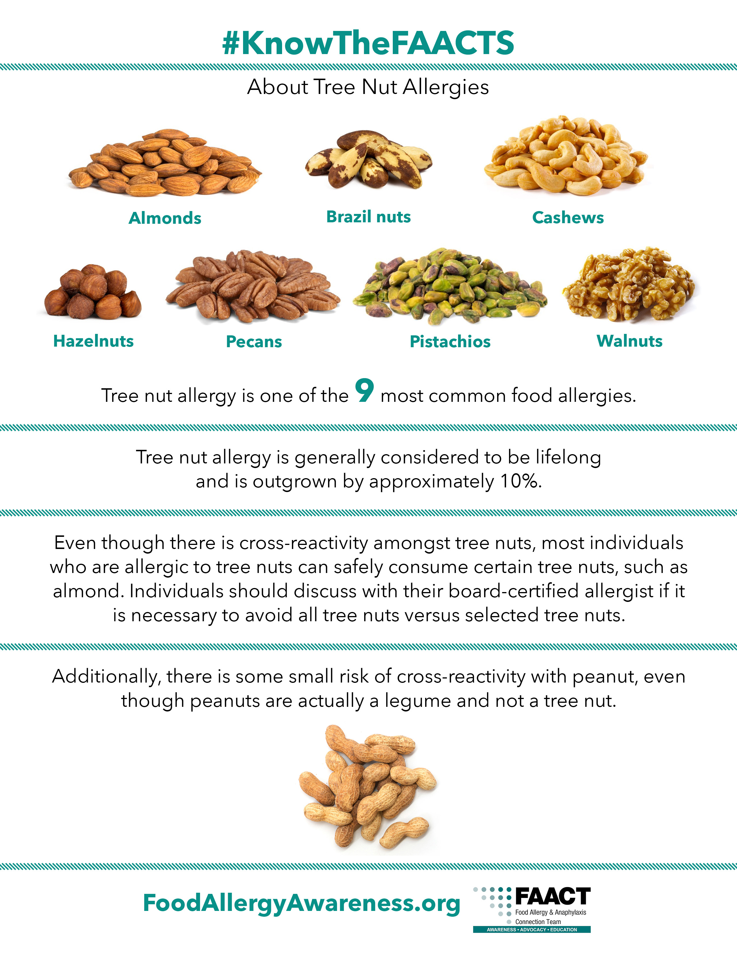 pine tree allergy foods to avoid