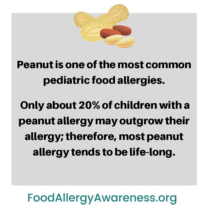 Can you be allergic to peanuts and not other nuts Food Allergy Anaphylaxis Food Allergens Peanut