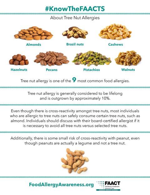 Tree Nuts: A Top 9 Food Allergen | FAACT
